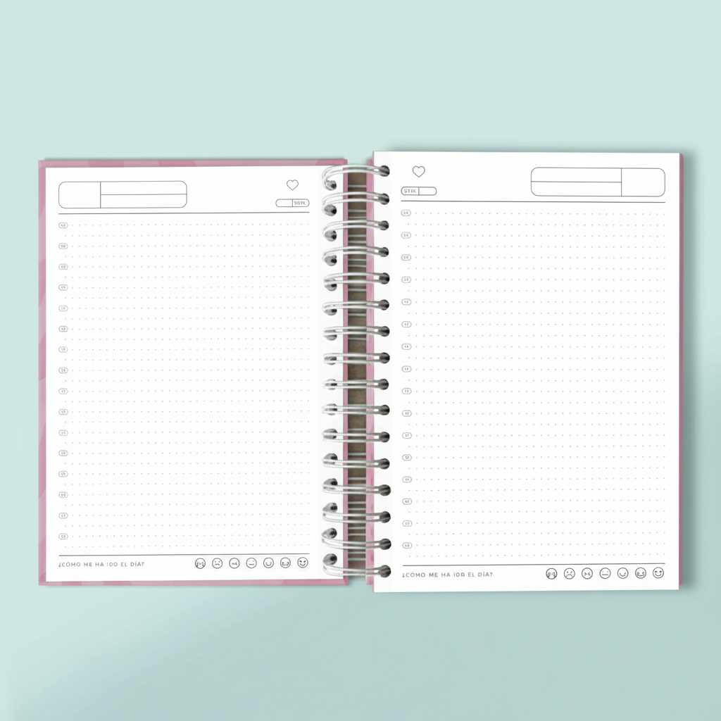 AGENDA FLEXIBLE ANUAL - ROSA